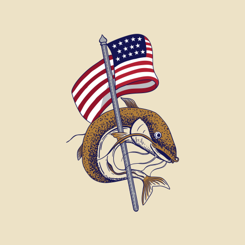 American Catfish thumb