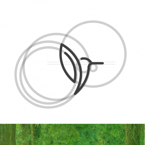 Green bird adventures minimal logo thumb