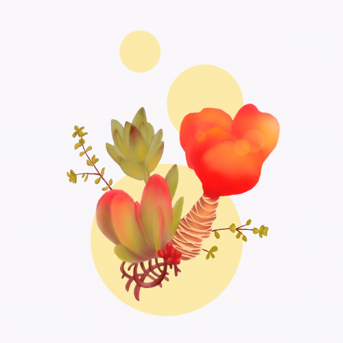 red flower