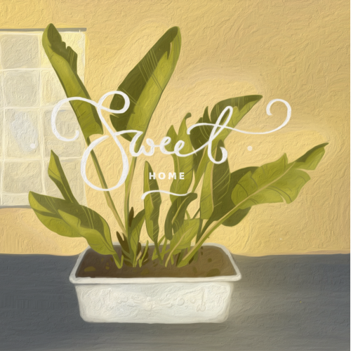 sweet home flora