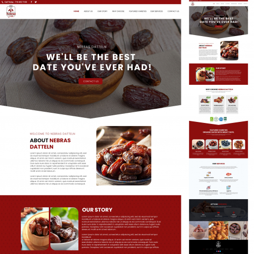 Website Design Solution