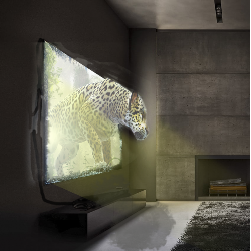 Living room TIger