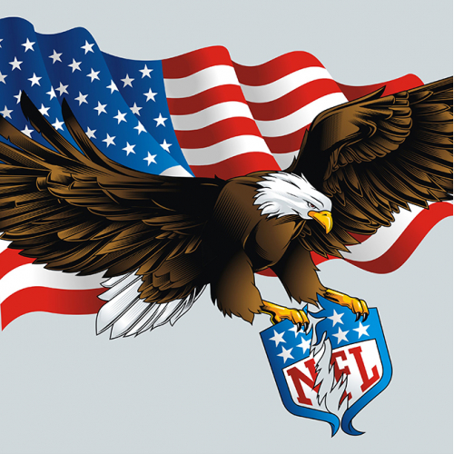 NFL Eagle Illustration