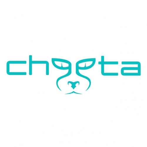 cheeta