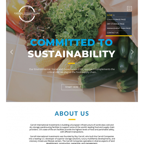 Website Design for Carroll International thumb