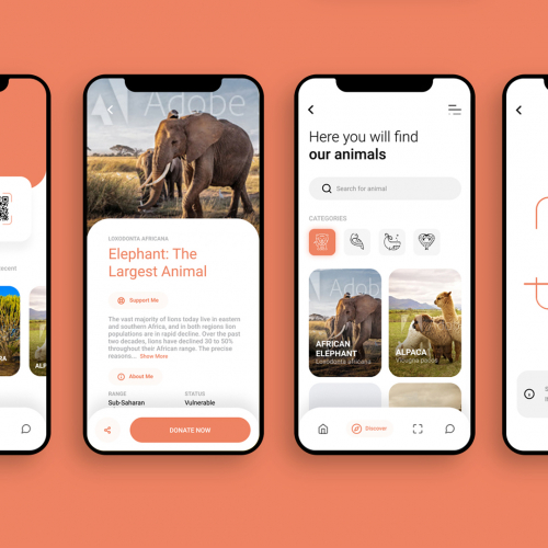 DoZoo Donation App thumb