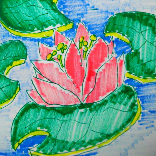 Pink Lotus