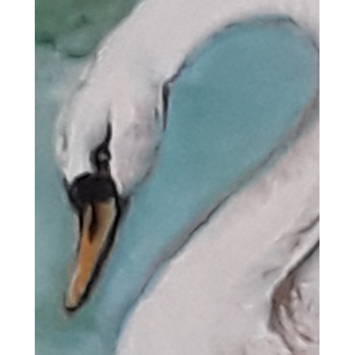 Swan family thumb