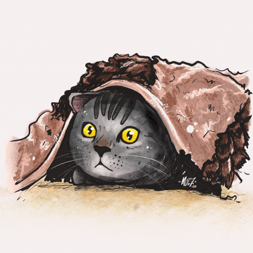 Kitten - Pets Illustration