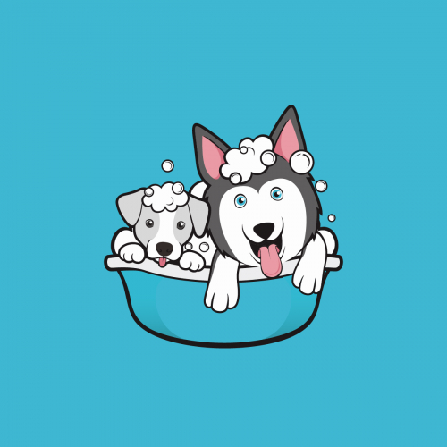 dog wash
