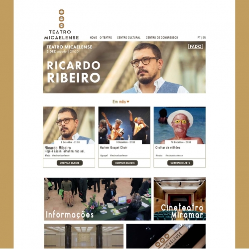 web site design for Teatro Micaelense