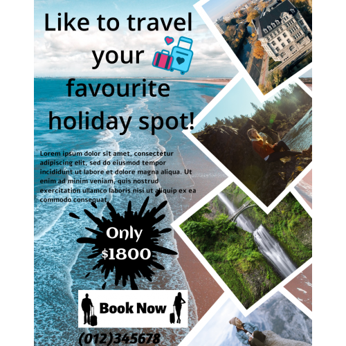 travel flyer