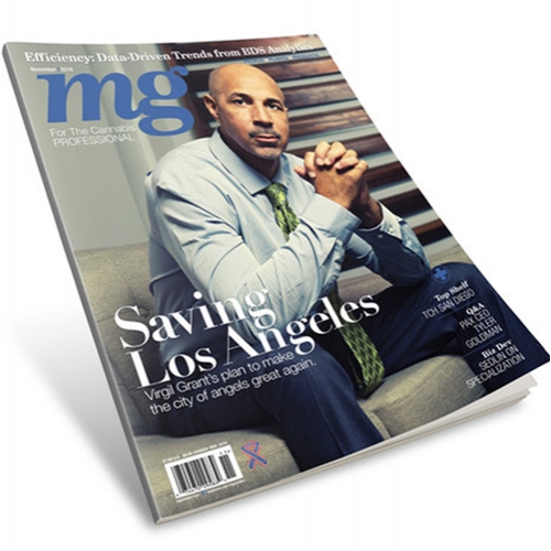 Magazine Design   Cover (100  Pages)