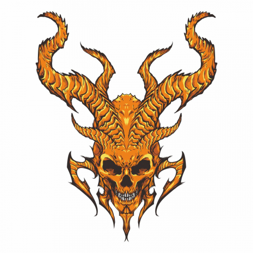 Skull illustration
