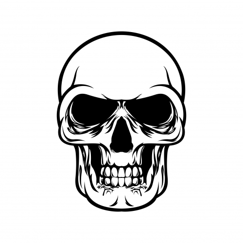 Skull design illustration