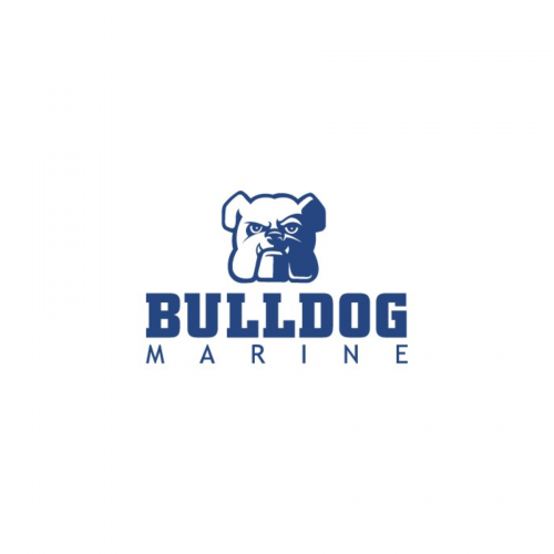 logos that I created with my imagination, and for the c