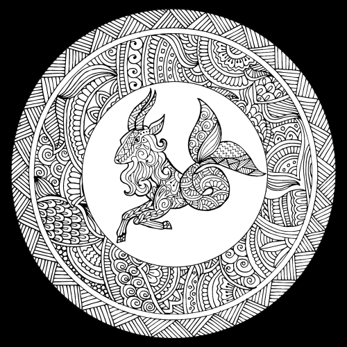 The Capricorn