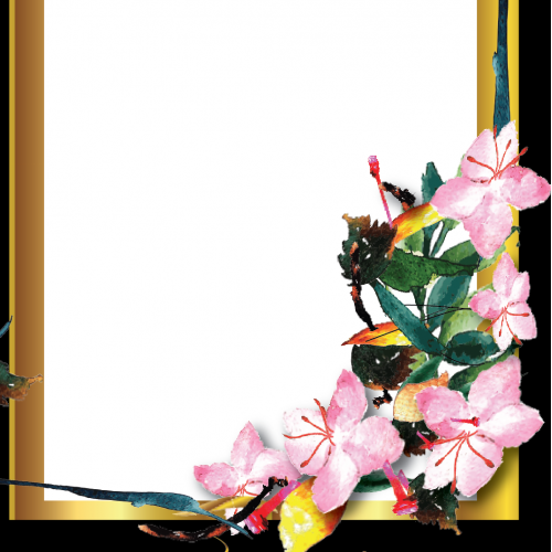 Watercolor background collection