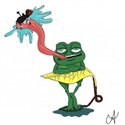 Frog n Fly