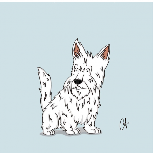 Fito the Dog