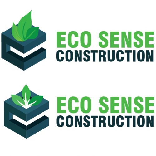 EcoSense Logo Studies