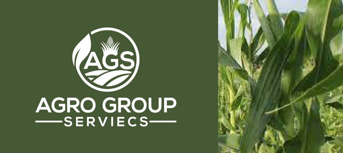 agrogroup serviecs