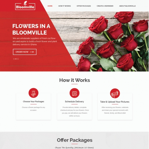 Web Design thumb
