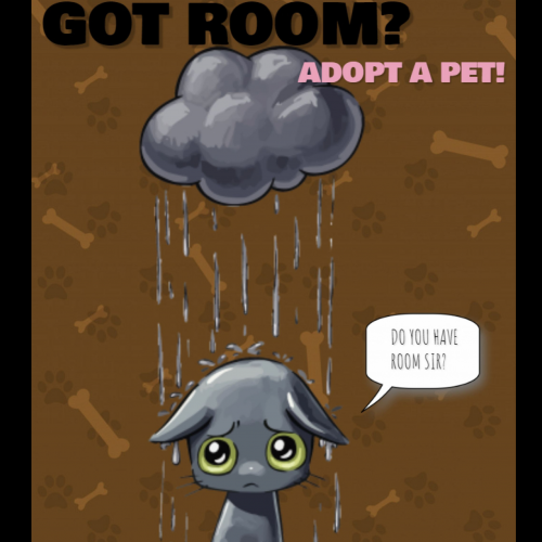Adopt a pet