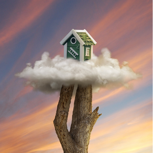 Bird House
