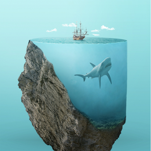 Megaladon Nest