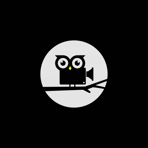 Owl Camera Logo Design