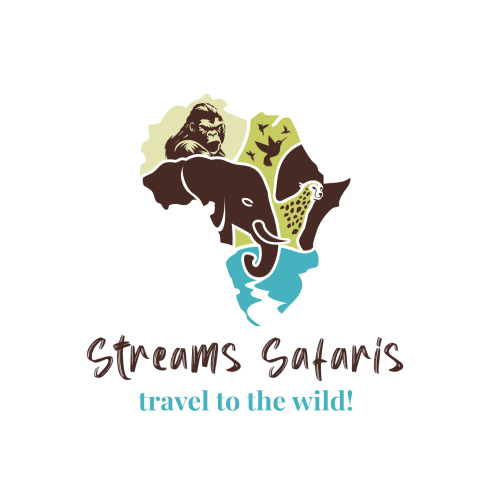 Streams Safaris Brand Identity