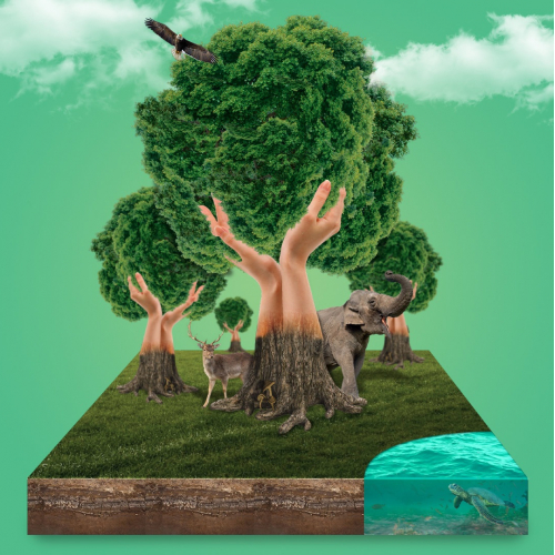 Lets Grow 50,000 Trees - Digital Design thumb