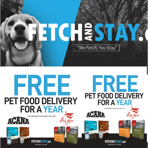 Animal Service Social Media Design