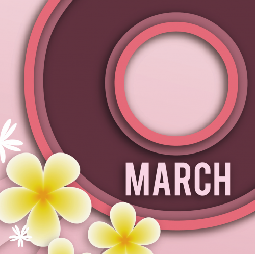 Paper Cut Effect - International Women's Day