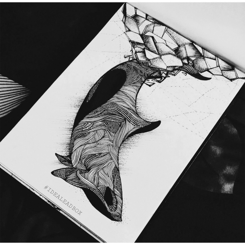 KILLER WHALE