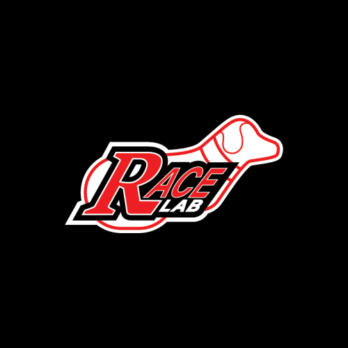automotive LOGO