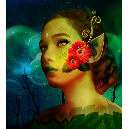 Digital Art