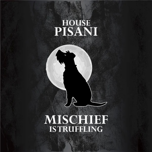 Banner Design of House Pisani