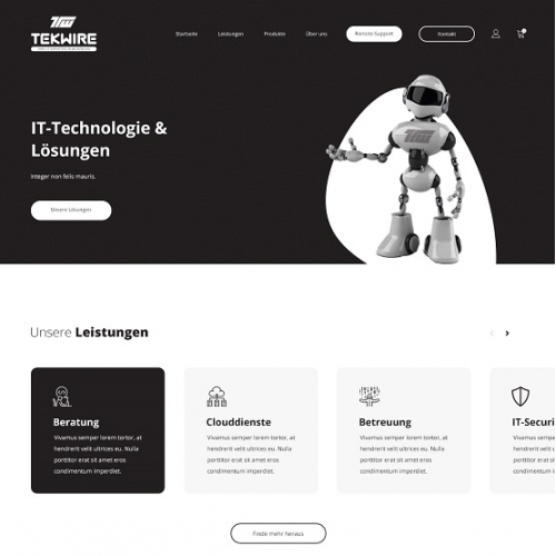 IT company