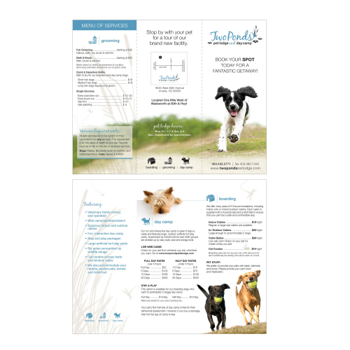 Trifold Brochure thumb