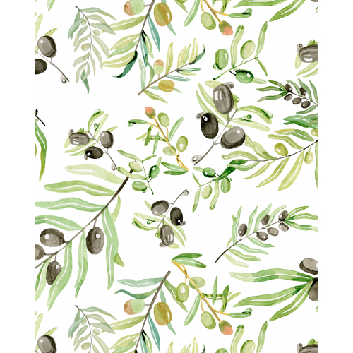 Olives on a branch leaves and watercolor berries by hand isolated