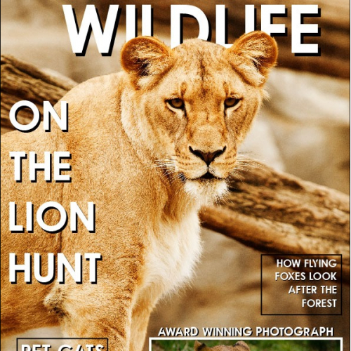 Magazine cover