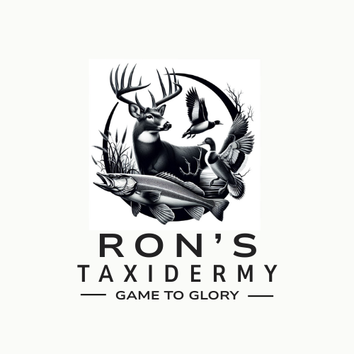 Company Logo Design