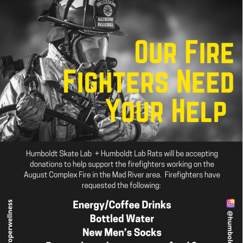 FireFighter Fundraiser Flyer/Brochure