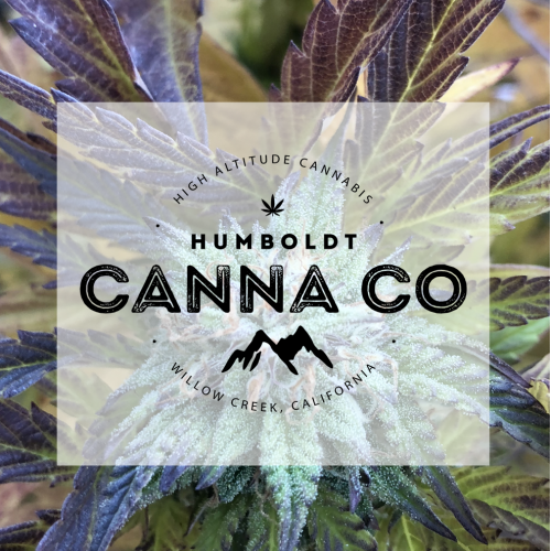 LOGO / BUSINESS CARD DESIGN