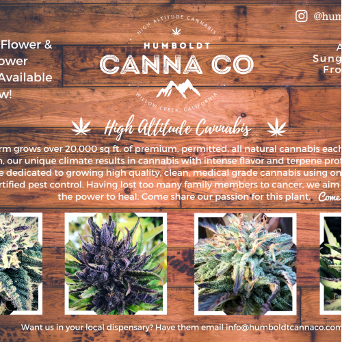 Magazine Ad Spread Humboldt Canna Co
