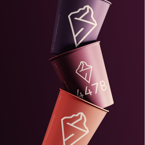 Packaging design for 4478 ice cream