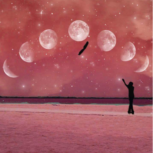 Moon Phases