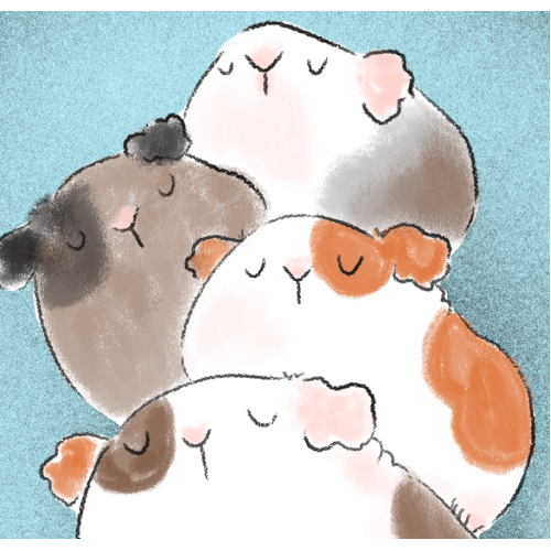Piggie Pile